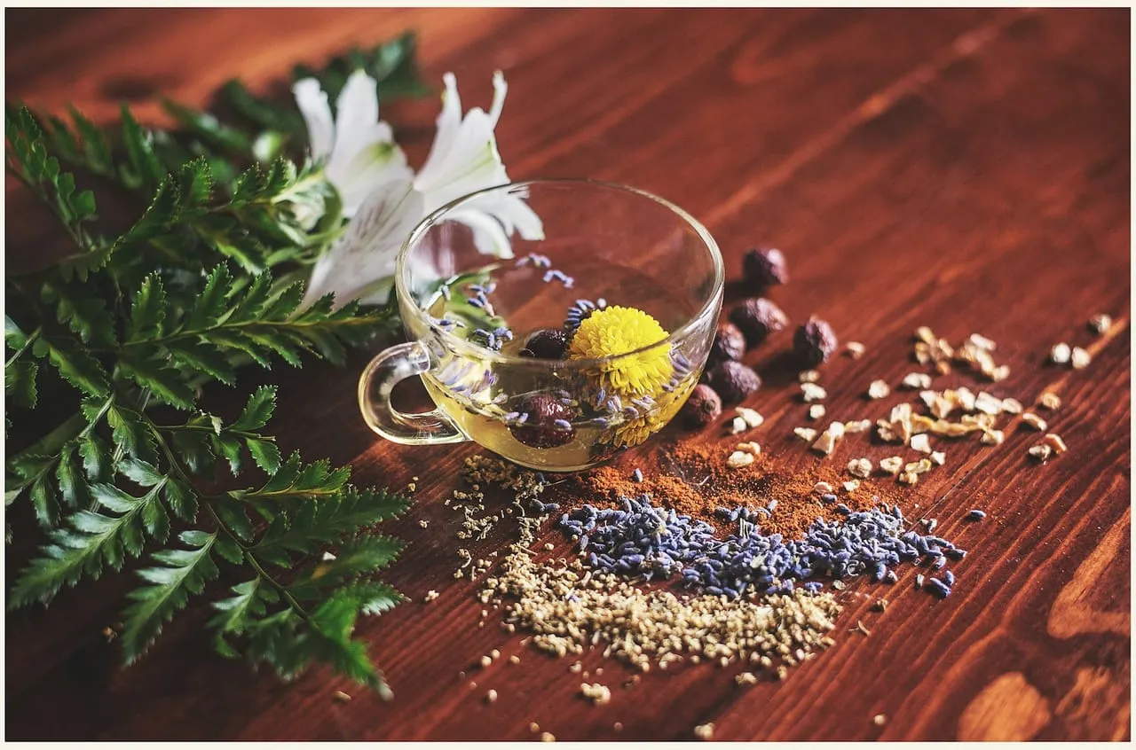 Glas-Teetasse mit Kräutertee, Farn und Heilkräutern auf einem Holztisch